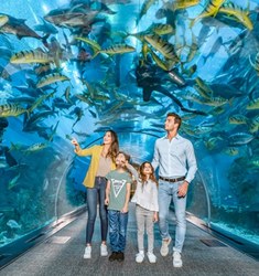 Family in the Dubai Aquarium tunnel